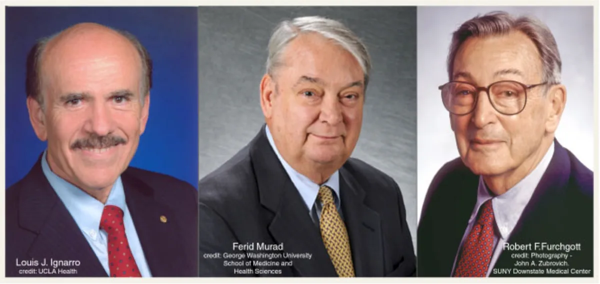 Portraits of the three 1998 Nobel laureates in Physiology or Medicine — Louis J. Ignarro, Ferid Murad and Robert F. Furchgott