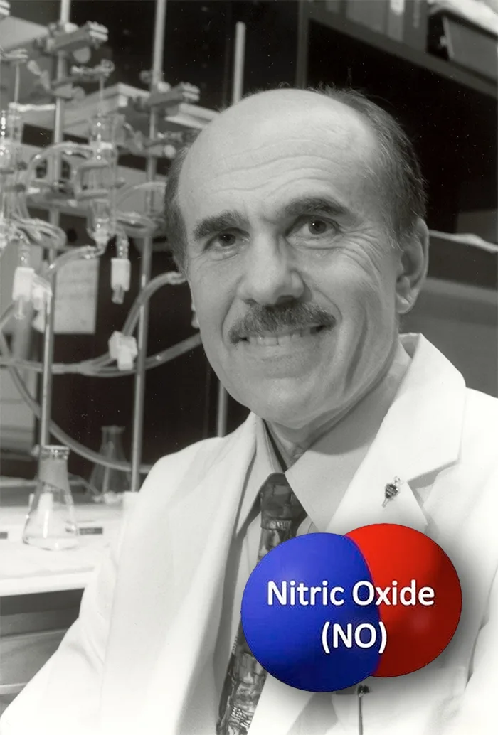 Archival portrait of Dr. Lou Ignarro in the laboratory
